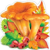 Украшение на скотче Грибы