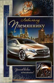 открытка Любимому Племяннику