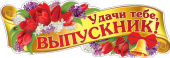 Гирлянда Удачи тебе Выпускник