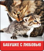 Магнит виниловый Бабушке с любовью