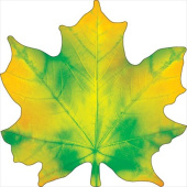 Украшение на скотче 15х15см Кленовый лист (10шт)