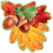 Украшение на скотче 14,6х14,6см Лист дуба (20шт)