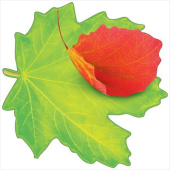 Украшение на скотче 14,6х14,6см Лист клена зеленый (20шт)