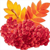 Украшение на скотче 15х15см Рябина (10шт)