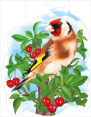 Плакат А4 Щегол (10шт)