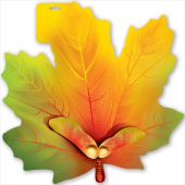 Плакат А3 Лист кленовый