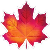 Украшение на скотче 15х15см Кленовый лист красный (10шт)