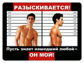 Магнит виниловый Разыскивается...