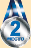 Медаль бумажная 2 место