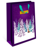 Пакет BC стандарт плюс 18х22,3х10см