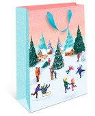 Пакет BC стандарт плюс 18х22,3х10см