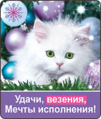 Магнит виниловый Удачи, везения, мечты исполнения!