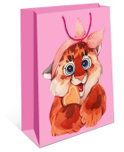 Пакет BC 18х22,3х10см