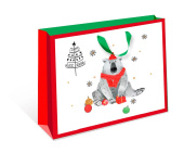 Пакет BC стандарт плюс 18х22,3х10см