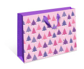 Пакет BC стандарт плюс 18х22,3х10см