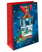 Пакет BC стандарт плюс 18х22,3х10см