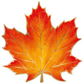 Украшения на скотче 16х16см Кленовый лист (уп20) /ИмП