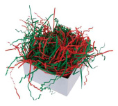 Наполнитель бумажный Зеленый Красный 50г ДБ