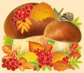 Украшение на скотче 16,4х14,2см Белые грибы (20шт) ИмП