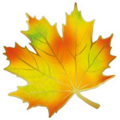 Украшение на скотче 16х16см Кленовый лист (уп20) /ИмП