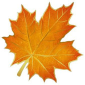 Украшение на скотче 16х16см Кленовый лист (уп20) /ИмП