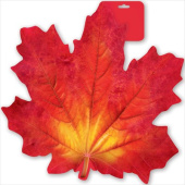 Плакат А3 Лист кленовый красный /Праздник