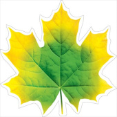 Украшение на скотче 15х15см Кленовый лист желто-зелный (10шт) МирП