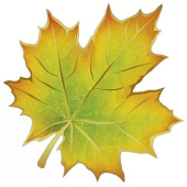 Украшения на скотче 16х16см Кленовый лист (20шт) /ИмП