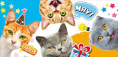 Конверт для денег Коты