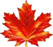 Украшение на скотче Кленовый лист