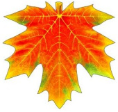 Украшение на скотче Кленовый лист