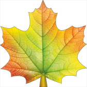 Украшение на скотче 9,6х9,6см Кленовый лист (20шт) ОП