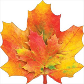 Украшение на скотче 20х20см Кленовый лист (10шт) ОП