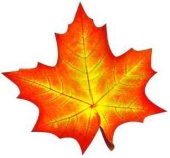 Украшение на скотче Кленовый лист 20х20см (10шт)