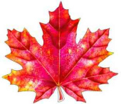 Украшение на скотче Кленовый лист 20х20см (10шт)