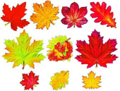 Украшение на скотче Листья осенние (уп10)