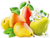 Плакат Груши