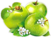 Плакат Яблоки