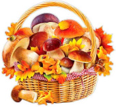 Плакат Корзина с грибами А2