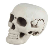 Декоративное украшение Череп 18х135х12см ВВ