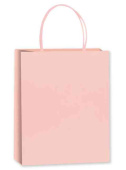 Пакет Крафт 120гр M 16х22см Светло-розовый