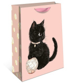 Пакет бумажный BC 18х22см АртД