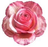 Шар фольга фигура Утренняя роза 18" 46смFL