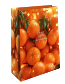 Пакет бумажный 18*22 см Время чудес и мандаринок