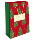 НГ Пакет бумажный AA 33х43см АртД