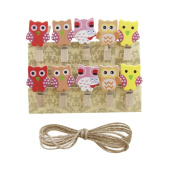 Украшение декор Прищепки Совушки 3,5см разноцветный (уп10) ВВ