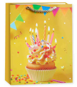 Пакет бумажный M 18х23см Яркий День Рождения Дизайн №4