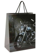 Пакет бумажный L 26х32см Мотоцикл ЗОЛОТАЯ СКАЗКА