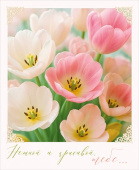 Открытка мини Нежной и красивой тебе! ОП (20шт)