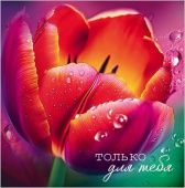 Открытка мини Только для тебя Праздник (20шт)